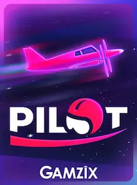 Pilot crash at 995 COM