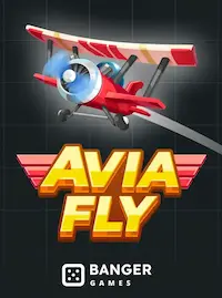 Avia Fly crash at 995 COM